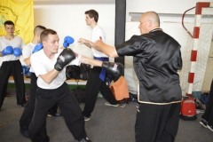 hét csillag sáska kung fu orszagos bajnoksag 2016_036