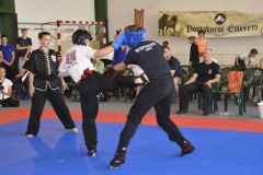 hét csillag sáska kung fu orszagos bajnoksag 2016_044