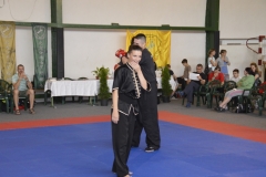 hét csillag sáska kung fu orszagos bajnoksag 2016_049