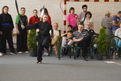 hét csillag sáska kung fu orszagos bajnoksag 2016_053