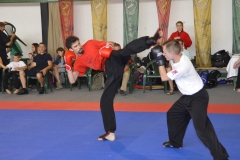 hét csillag sáska kung fu orszagos bajnoksag 2016_056
