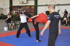 hét csillag sáska kung fu orszagos bajnoksag 2016_057