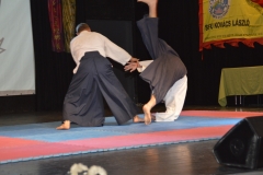 hét csillag sáska kung fu orszagos bajnoksag 2016_184