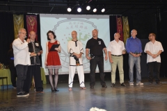 hét csillag sáska kung fu orszagos bajnoksag 2016_205