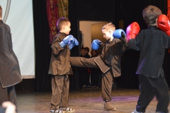 hét csillag sáska kung fu orszagos bajnoksag 2016_222