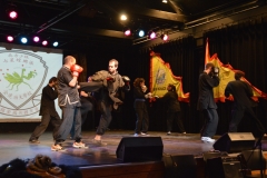 hét csillag sáska kung fu orszagos bajnoksag 2016_226