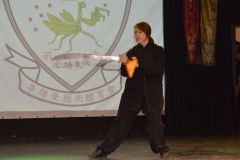 hét csillag sáska kung fu orszagos bajnoksag 2016_231