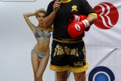 kung fu sanda