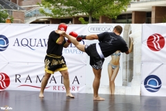 kung fu sanda