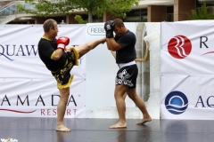 kung fu sanda