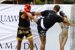 kung fu sanda