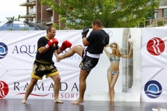 kung fu sanda