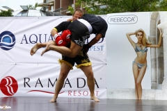kung fu sanda