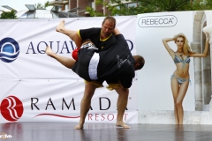 kung fu sanda