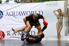 kung fu sanda