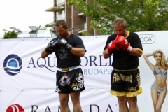 kung fu sanda
