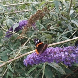 IMG_20200722_140924