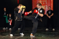 kung fu sanda