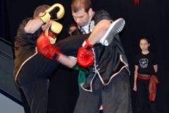 kung fu sanda