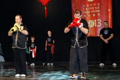 kung fu sanda