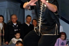 kung fu sanda