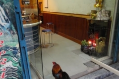 dsc00183-183225
