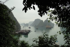 dsc00225-183234