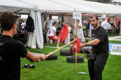 kung fu sanda