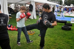 kung fu sanda