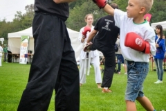 kung fu sanda