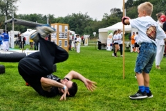 kung fu sanda