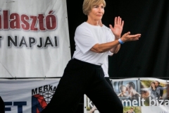 tai chi tai ji