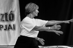 tai chi tai ji