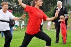 tai chi, tai ji