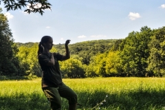 kung fu