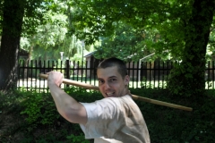 kung fu
