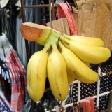 IMG_20191004_164914