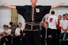 kung fu