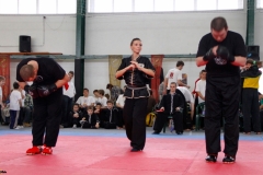 kung fu