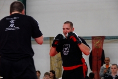 kung fu sanda
