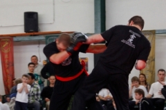 kung fu sanda