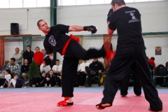 kung fu sanda