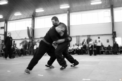 kung fu sanda