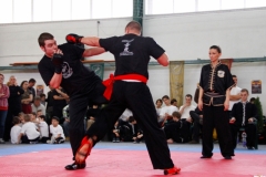 kung fu sanda