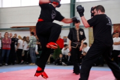 kung fu sanda