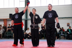 kung fu sanda