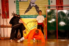 kung fu