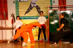 kung fu
