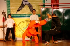 kung fu