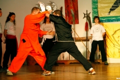 kung fu